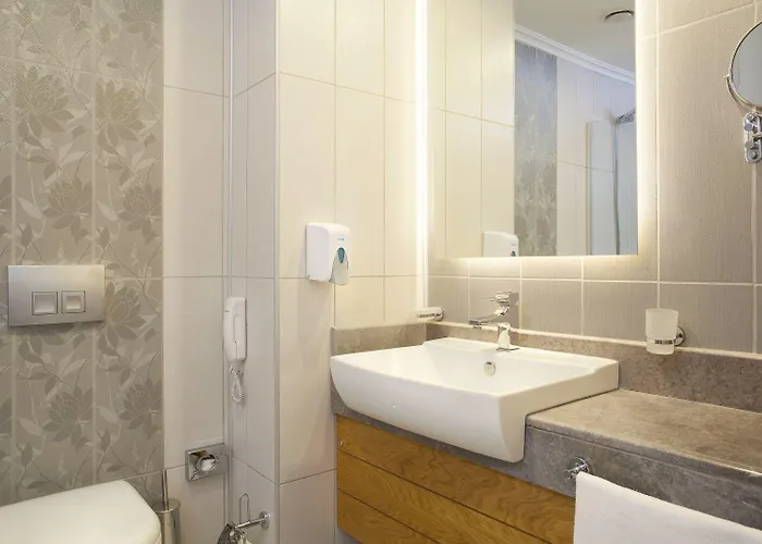 Orange Palace シダ