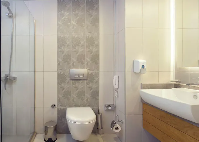 Orange Palace 5* シダ